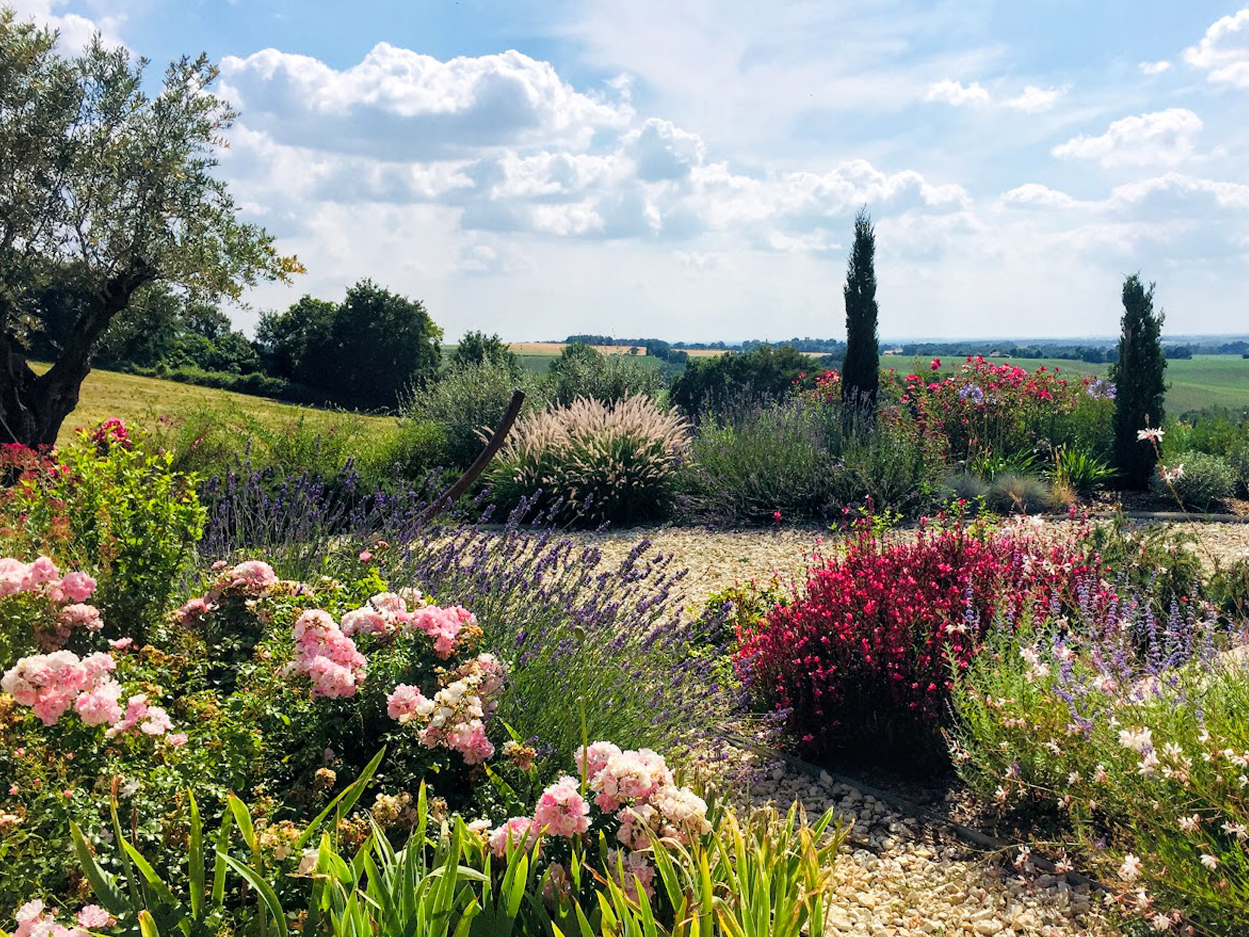 Un jardin méditerranéen — Gers