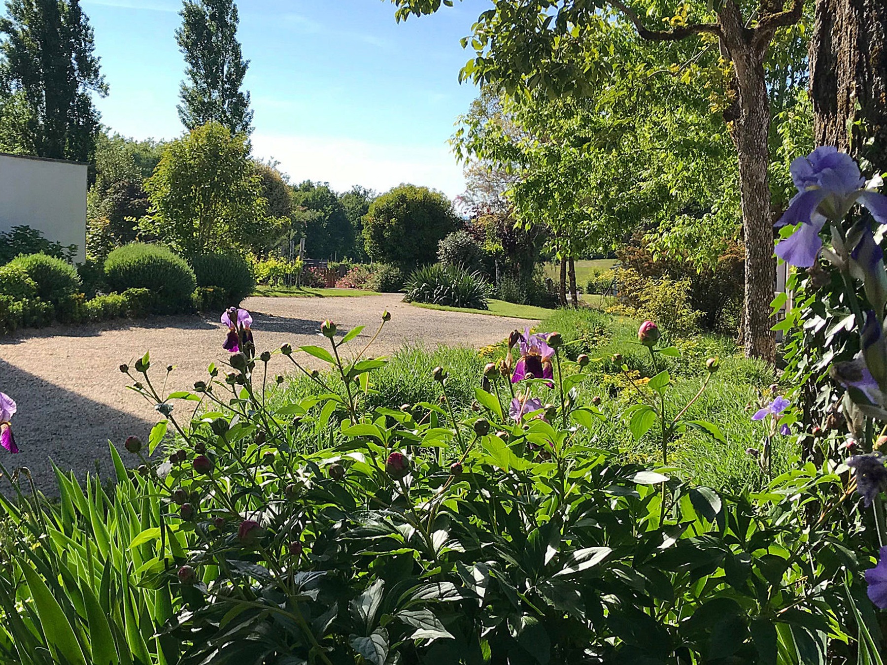Charmant jardin d’une maison à la campagne — Montauban